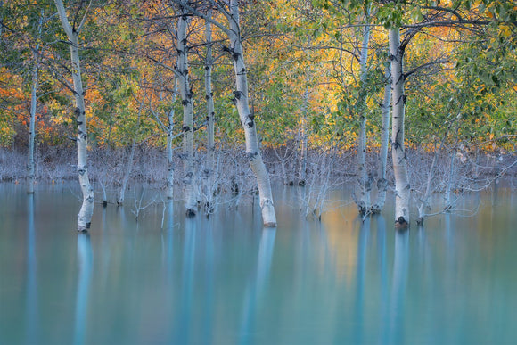 Sunken Color