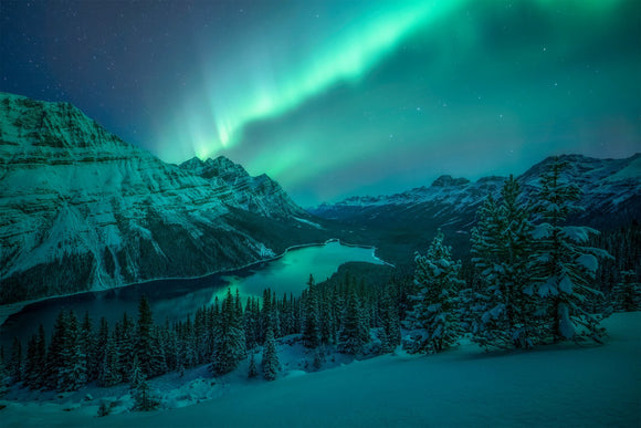 Aurora Over Peyto Lake