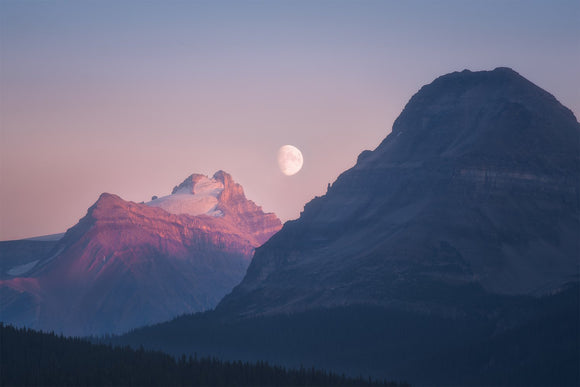 Between Night & Day