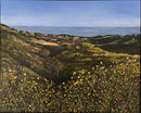 Malibu Overlook to the Pacific Ocean-1