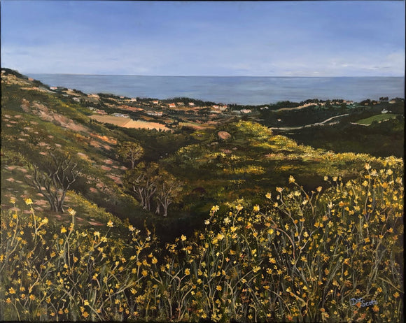 Malibu Overlook to the Pacific Ocean