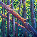 Sun drenched giants-1