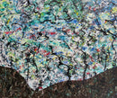 Enchanted Forest-1