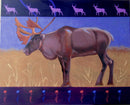 Caribou-1