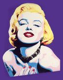 Icon Series Marilyn Monroe-1