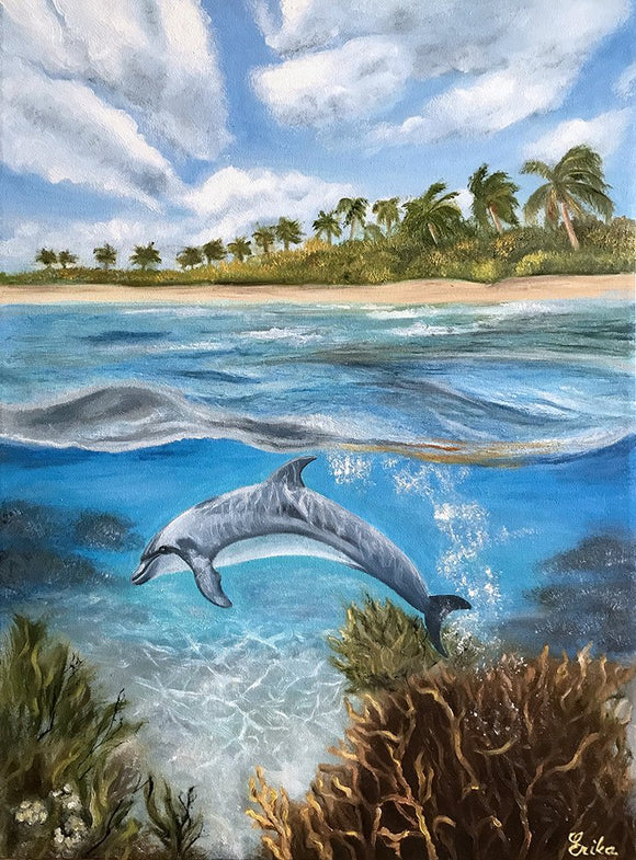 Dolphin Song
