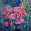 Resting Flamingoes-1