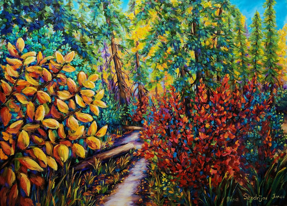 A Path In the Woods