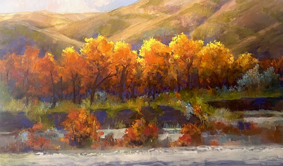 Along the Old Man River