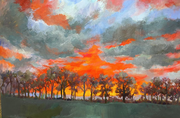Windbreak at Dusk