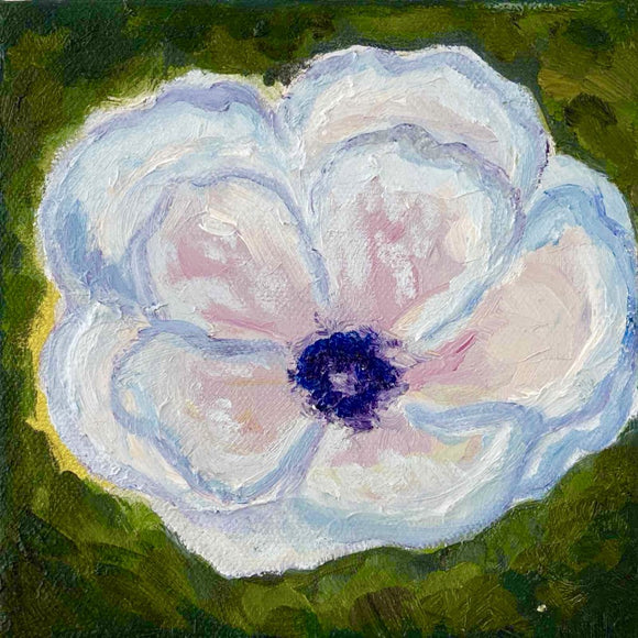 Poppy
