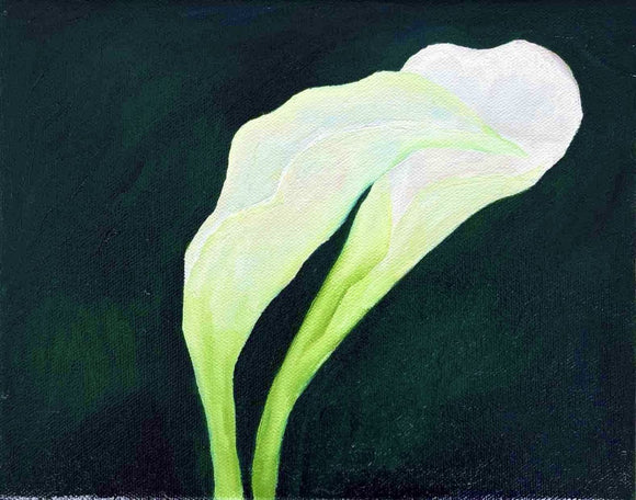 Calla Lillies