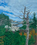 Duncan's Cove-1