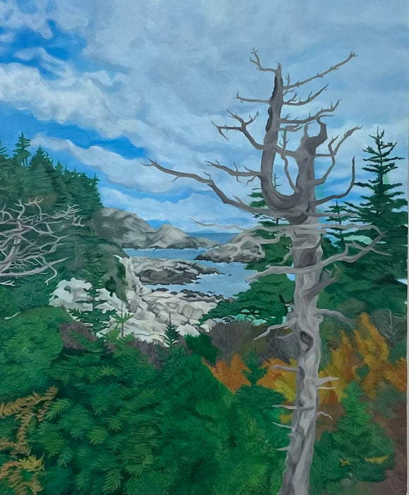 Duncan's Cove