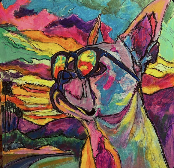 Colored dog vision