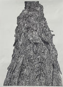 Textured Growth-1
