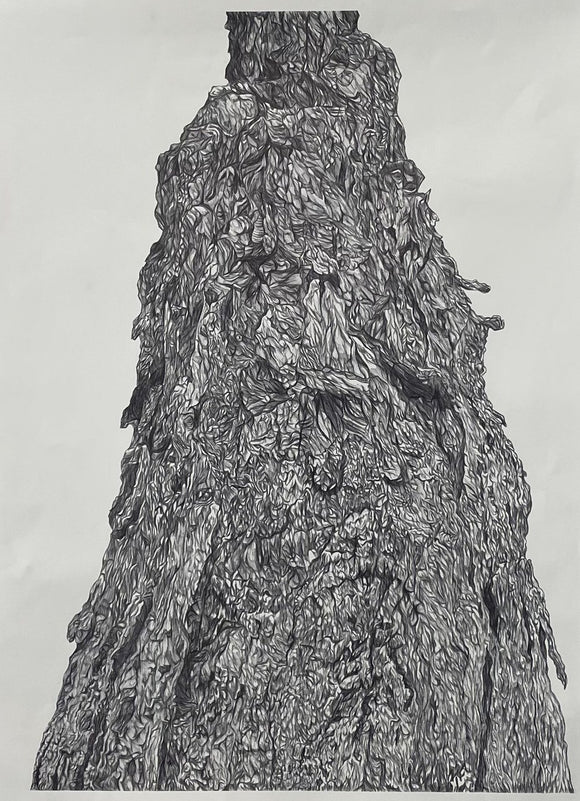 Textured Growth
