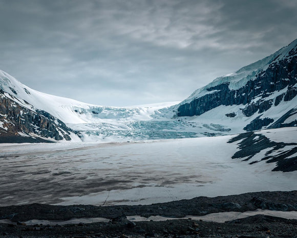 Ice Field