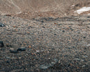 Cold Desert-1