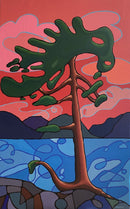 Coastal Guardian-1