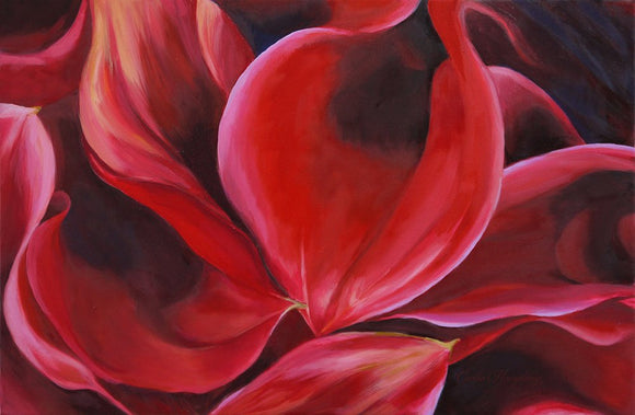 Red Calla Lilies