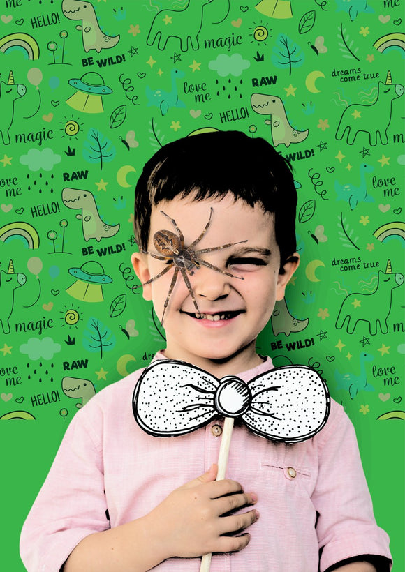 Spider Kid 2