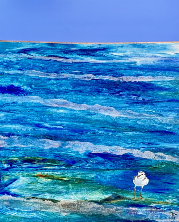 Shorebird Blues: Me and My Shadow