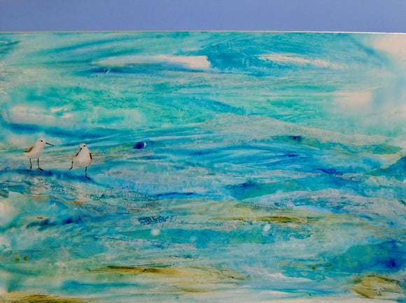 Shorebird Blues: I Will Follow You