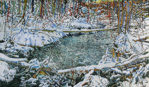 whitewater  stream awakening to the wilderness of a new morning