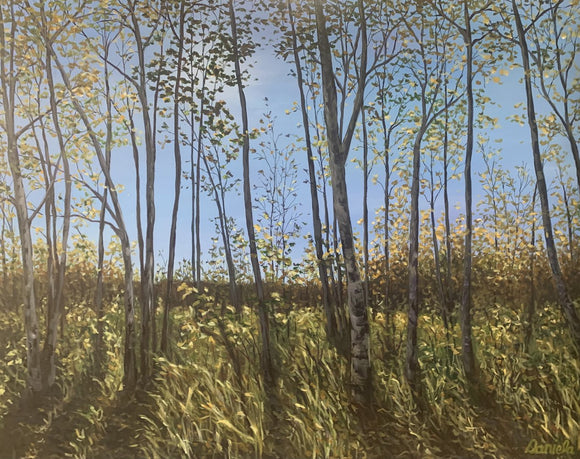 Fall Contemplations