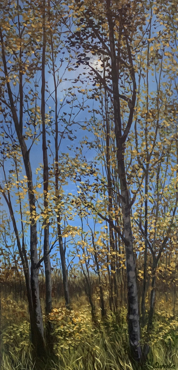 A breath of fresh air