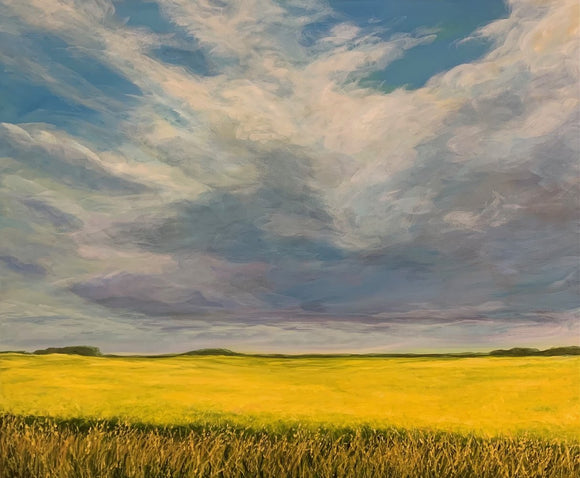 Fields of gold