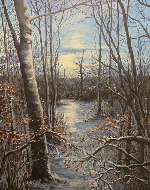 Winter Twilights Glow