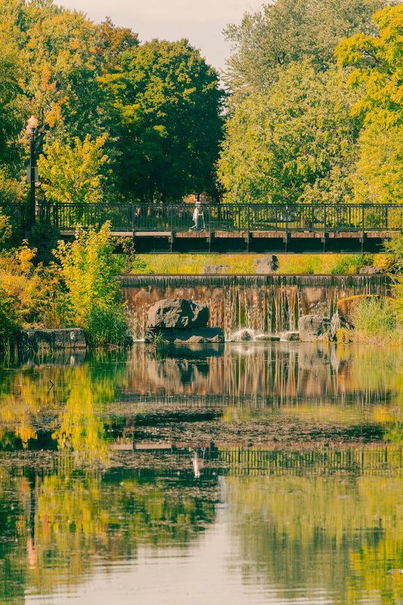 Where the Water Holds the Day