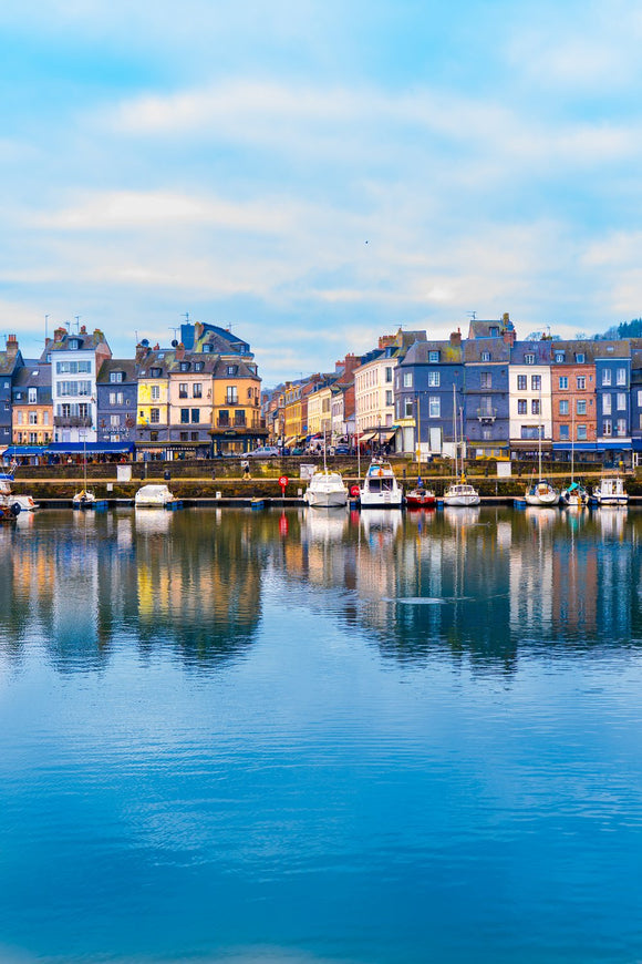 Reflections of the Harbor