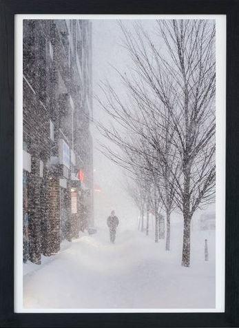 Historic Snowstorm Walks in Toronto