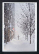 Historic Snowstorm Walks in Toronto-1