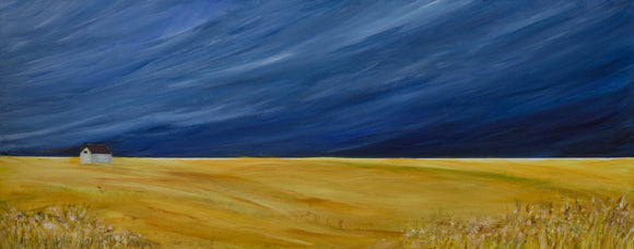 Storm over Canola