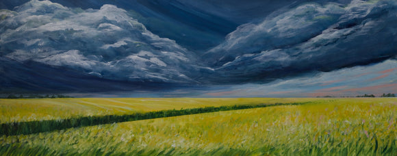 What Storms May Come