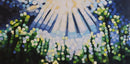 Seaweed-1