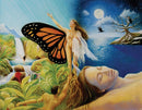 Transformation-1