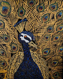 MAJESTIC PEACOCK-1