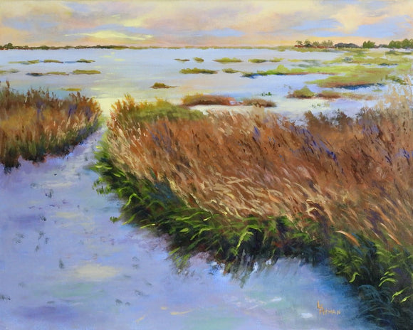 Grasses & Salty Air