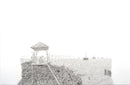 The long view-1