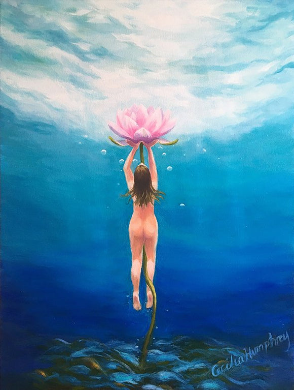 Lotus Rising