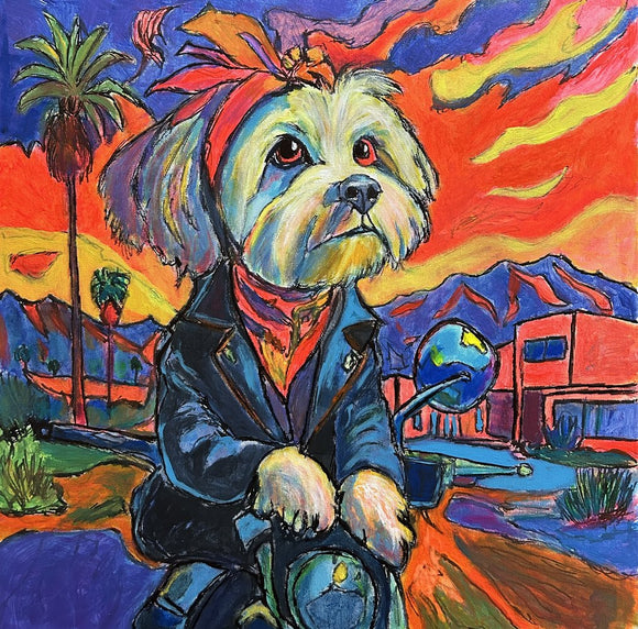 Motorcycle pup