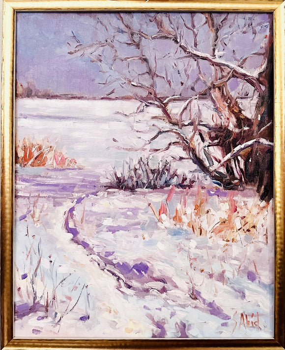 Winter on Lake Erie II