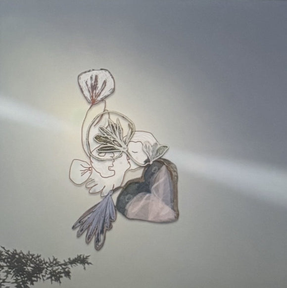 Held in Light