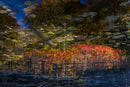 Fall Reflections-1