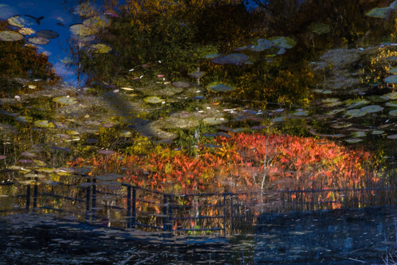 Fall Reflections